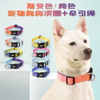 2023 Új kisállat kutya nyakörv vontatókötél gradiens tömör nylon kutya nyakörv kötél