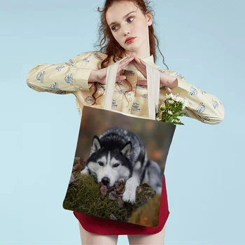 Alkalmi szibériai husky kutya vászon hölgy bevásárló kézitáska újrafelhasználható divat aranyos kisállat állati szövet könyvtáska ajándék táska nőknek