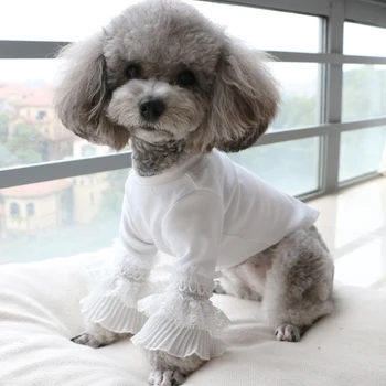 Puppy póló vékony szekció kisállat pamut aranyos csipke hosszú ujjú pulóver fenekű ing mackó ruházat Bichon uszkár kutya ruhák XS