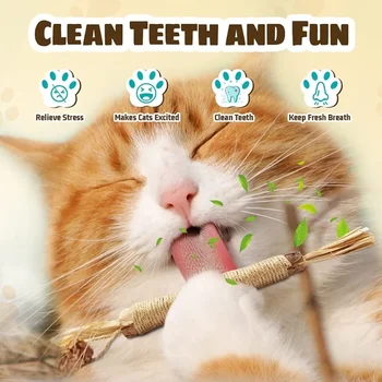 Természetes Polygonum macskamenta macskajáték tisztító fogak Moláris snackek - Silvervine rágójáték fogászati ápolás