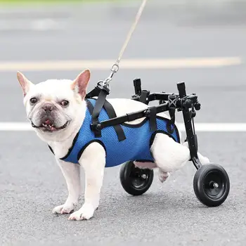 állítható hátsó végtag hátsó láb mozgáskorlátozott kisállat macska kutya mozgást segítő kocsi lábak rehabilitáció könnyű kisállat séta eszközök