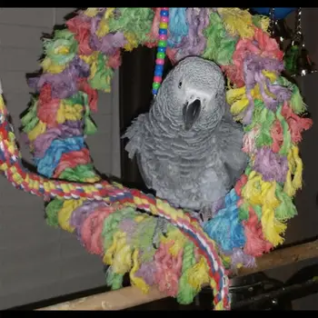 ÚJ Kisállat papagáj pamutkötél kör játékok rágás harapás lógó ketrec lengő kötél gyűrű állvány játékok madár kellékek (véletlenszerű szín)